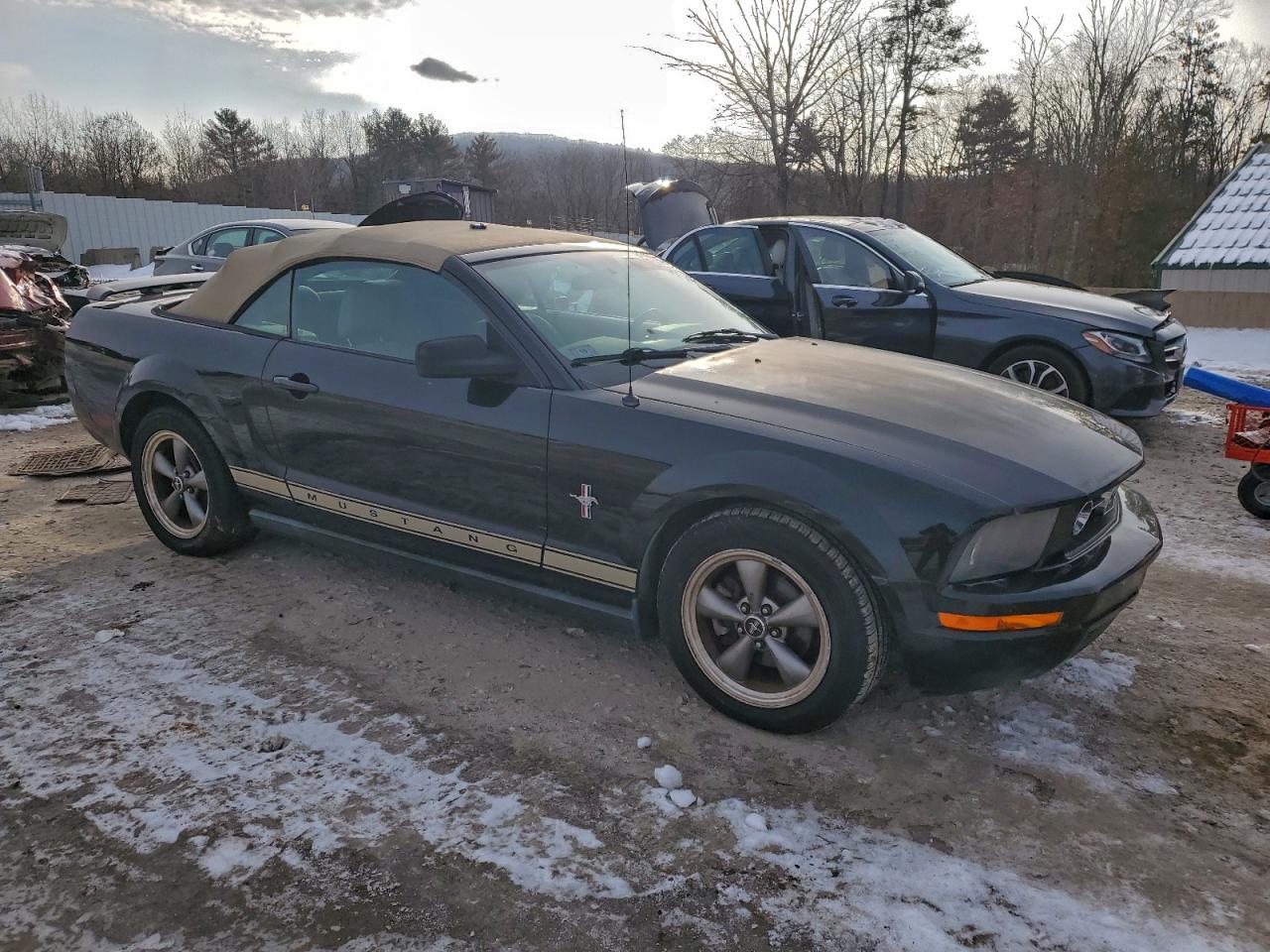 Lot #3310408006 2006 FORD MUSTANG