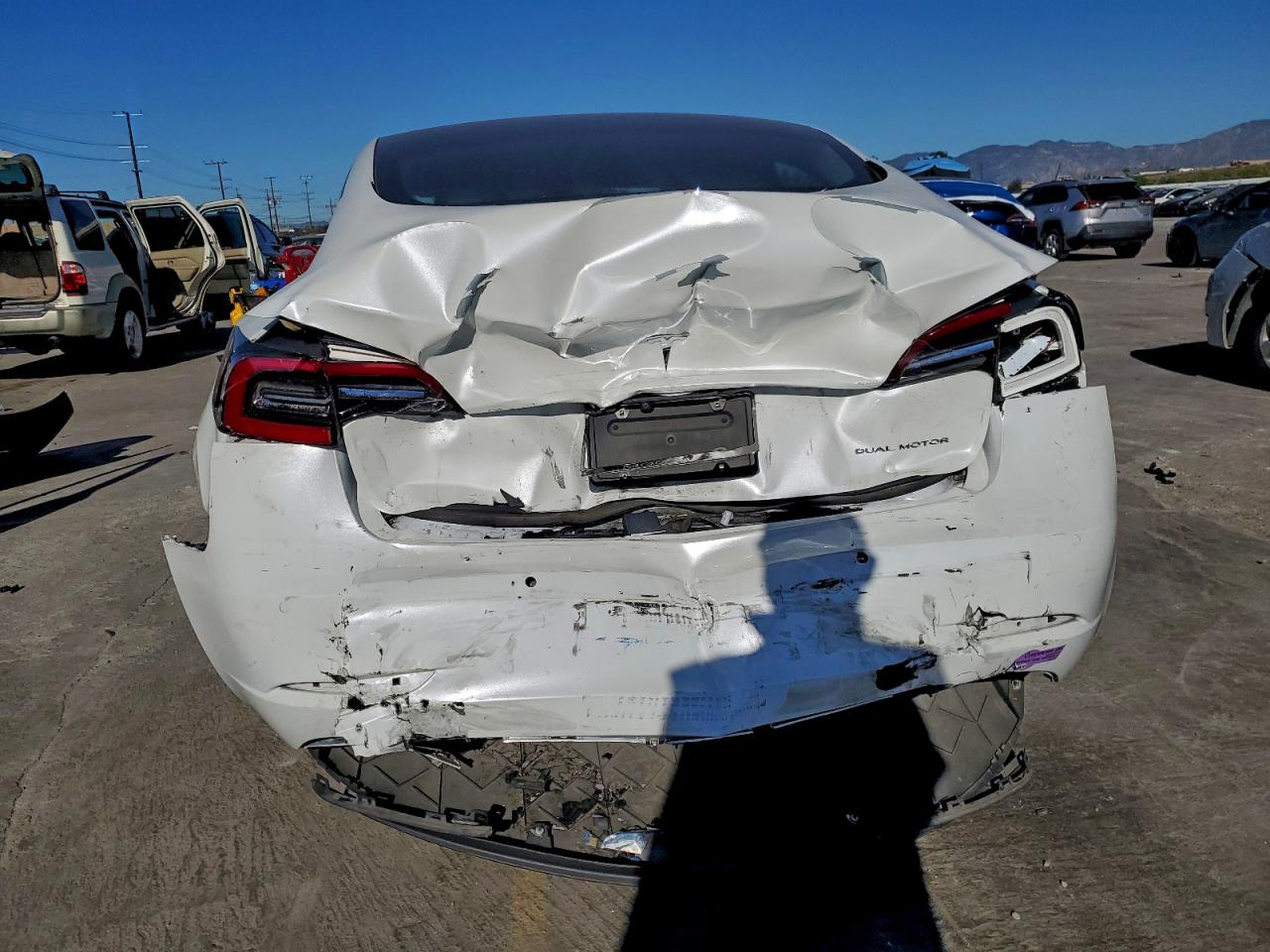 Lot #3317147995 2019 TESLA MODEL 3