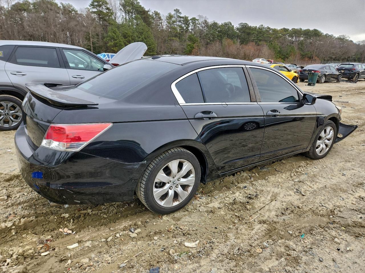 Lot #3316789412 2009 HONDA ACCORD EXL