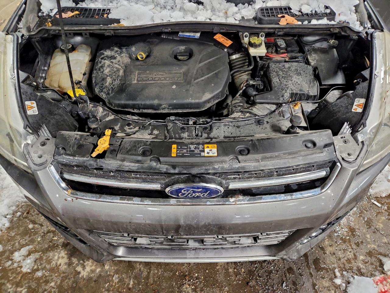 Lot #3316022831 2013 FORD ESCAPE TIT