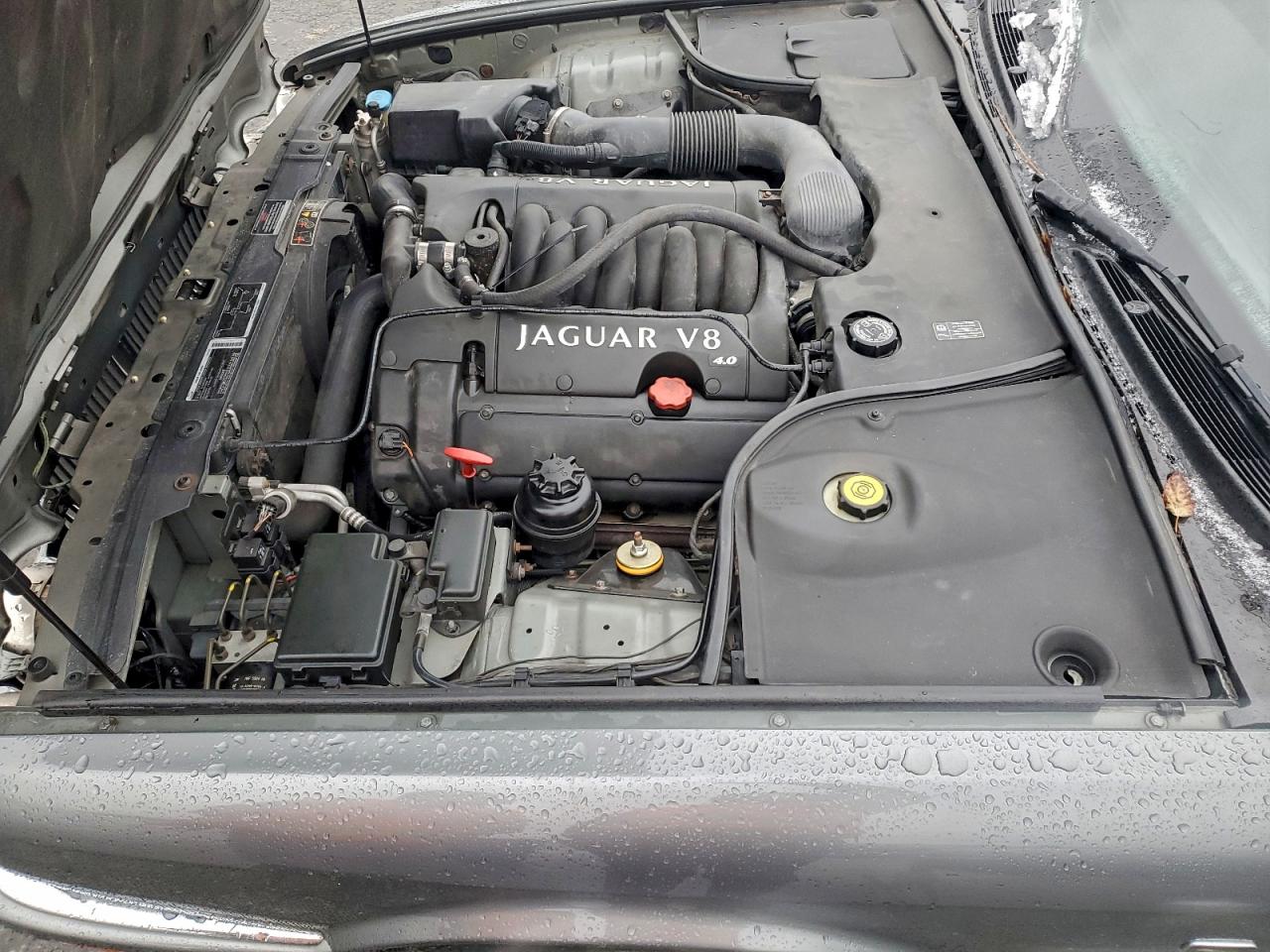 Lot #3311622231 2003 JAGUAR XJ8