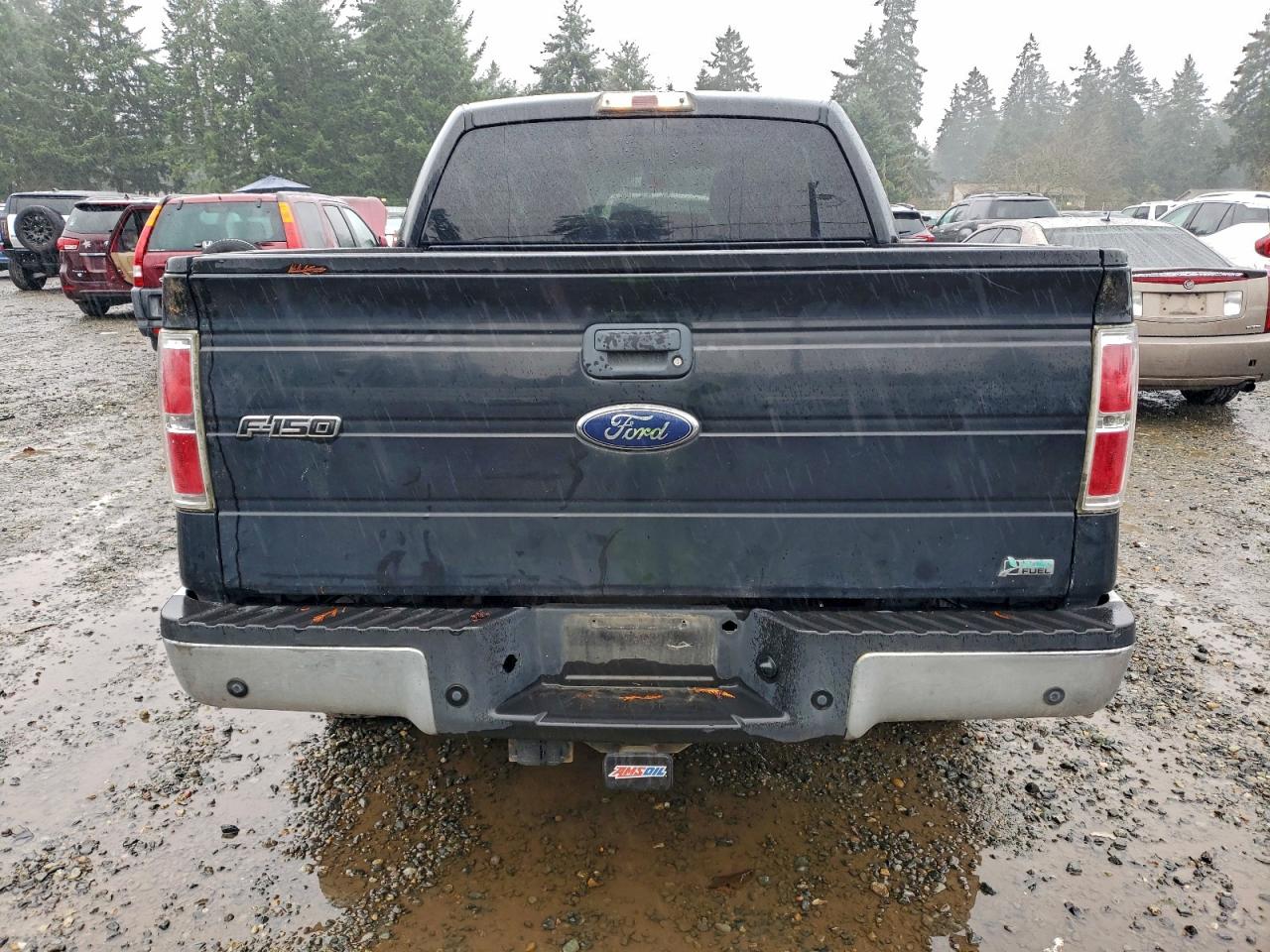 Lot #3315919096 2010 FORD F150 SUPER