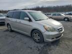 Lot #3312626202 2005 HONDA ODYSSEY EX