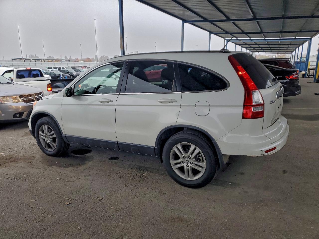 Lot #3309486668 2011 HONDA CR-V EXL