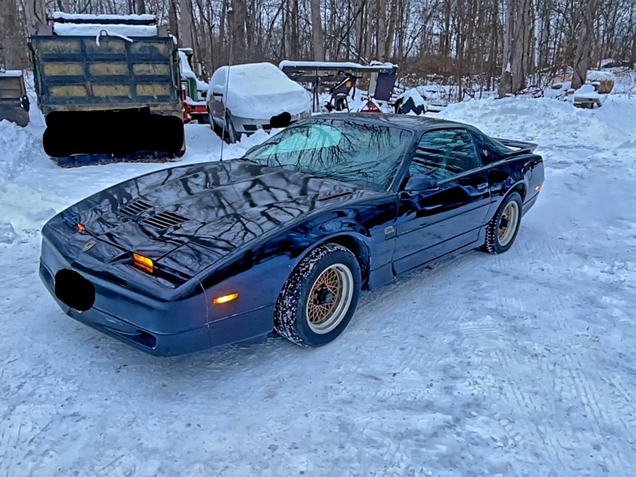 Lot #3316769411 1988 PONTIAC FIREBIRD T