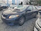 Lot #3308454344 2010 TOYOTA COROLLA BA