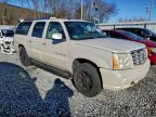 Lot #3316736428 2004 CADILLAC ESCALADE E