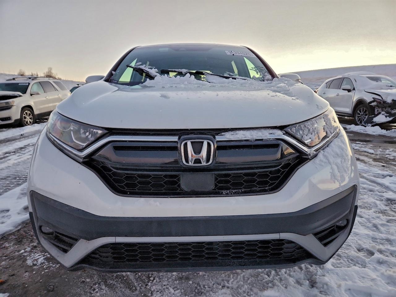 Lot #3316824398 2021 HONDA CR-V EXL