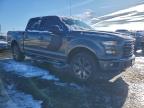 Lot #3315726447 2016 FORD F150 SUPER