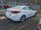 Lot #3313702181 2013 HYUNDAI ELANTRA GL