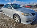 Lot #3305571066 2010 TOYOTA CAMRY BASE