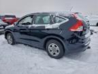 Lot #3303583930 2014 HONDA CR-V LX
