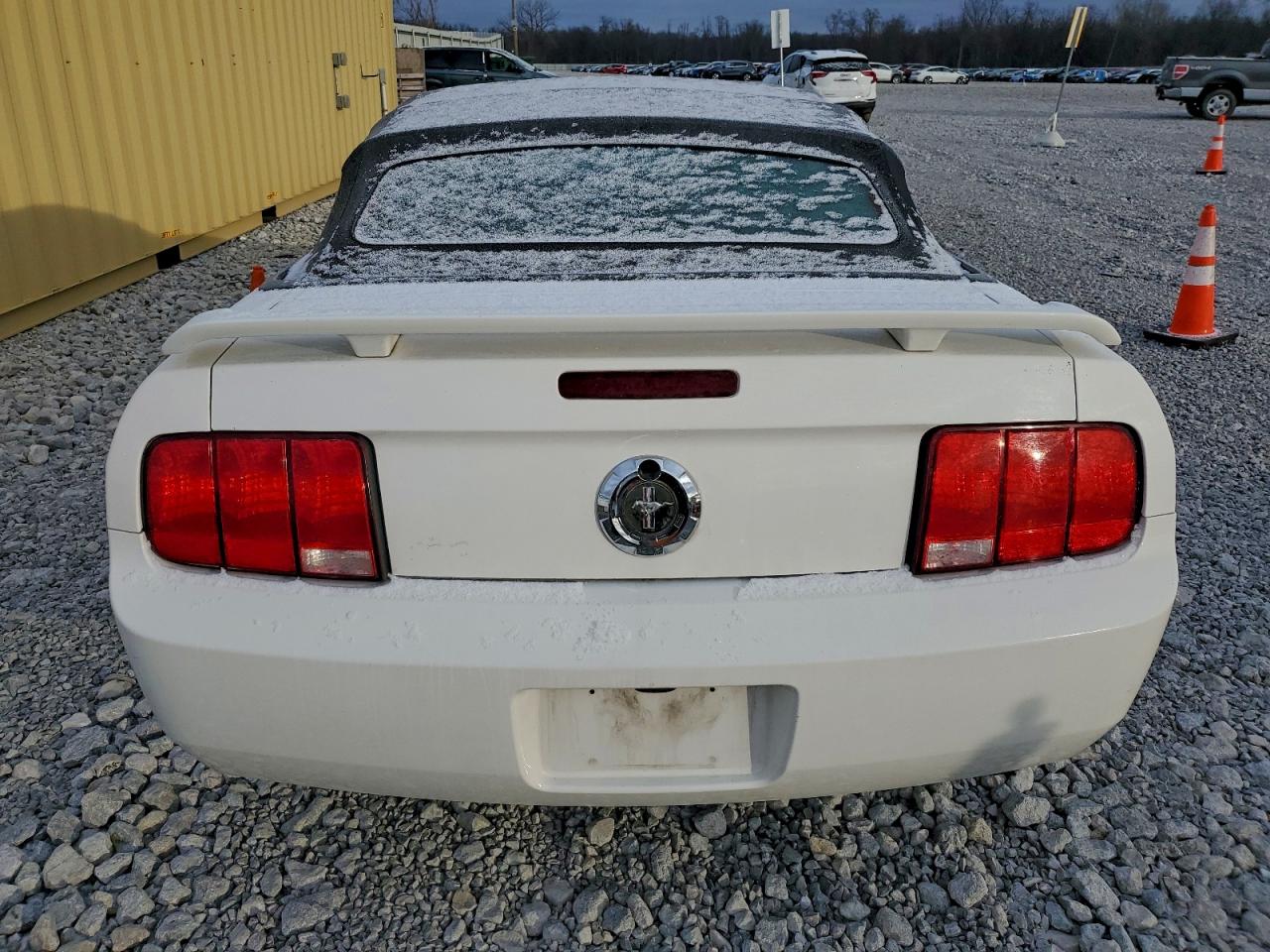 Lot #3301869049 2007 FORD MUSTANG