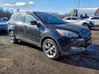 Lot #3301713397 2015 FORD ESCAPE TIT