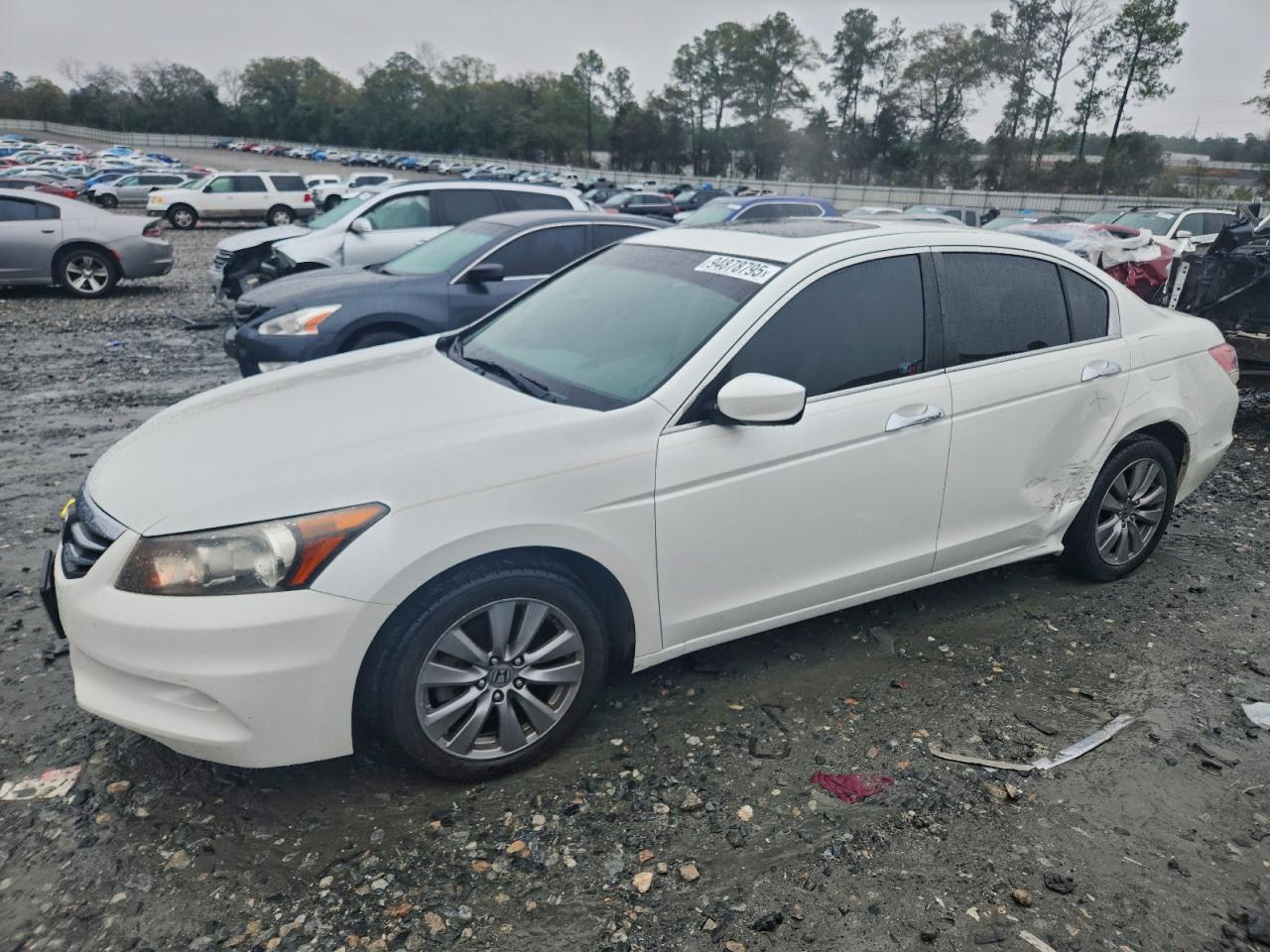 HONDA ACCORD EXL