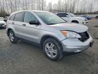 Lot #3317722084 2010 HONDA CR-V EX