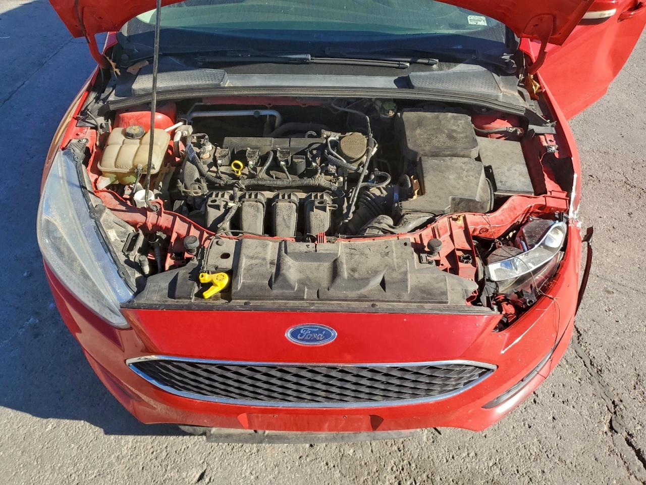 Lot #3318926938 2015 FORD FOCUS SE