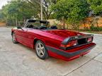 Lot #3303730439 1988 ALFA ROMEO SPIDER QUA