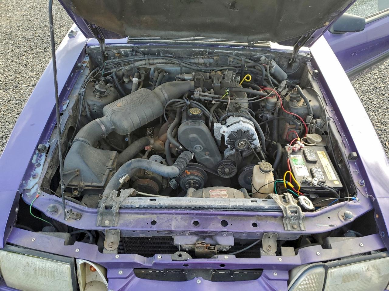 Lot #3302853886 1989 FORD MUSTANG LX