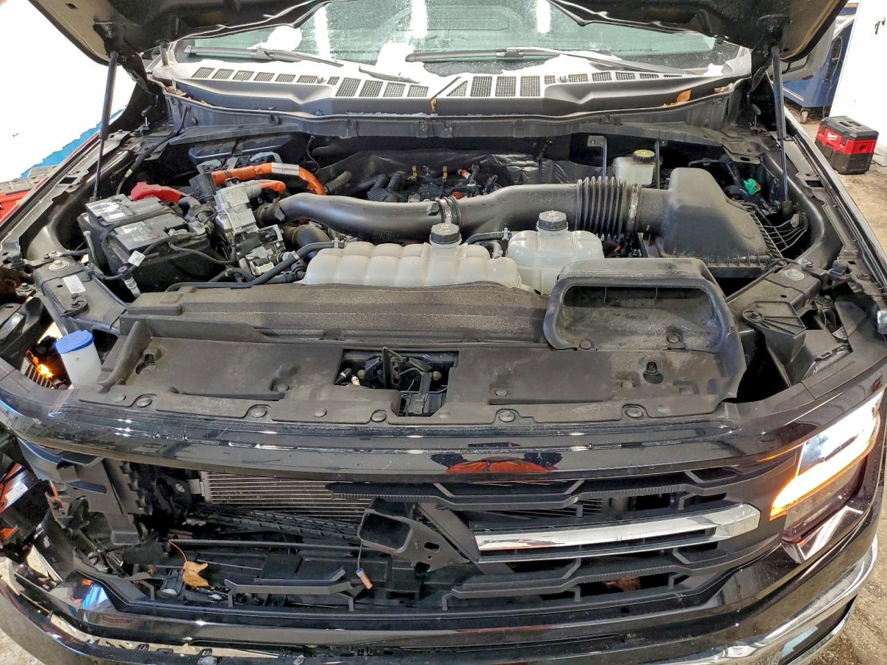 Lot #3317757089 2024 FORD F150 XLT