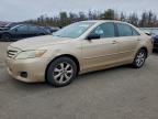 Lot #3320023462 2010 TOYOTA CAMRY BASE