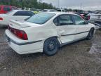 Lot #3309353985 2002 CHEVROLET IMPALA