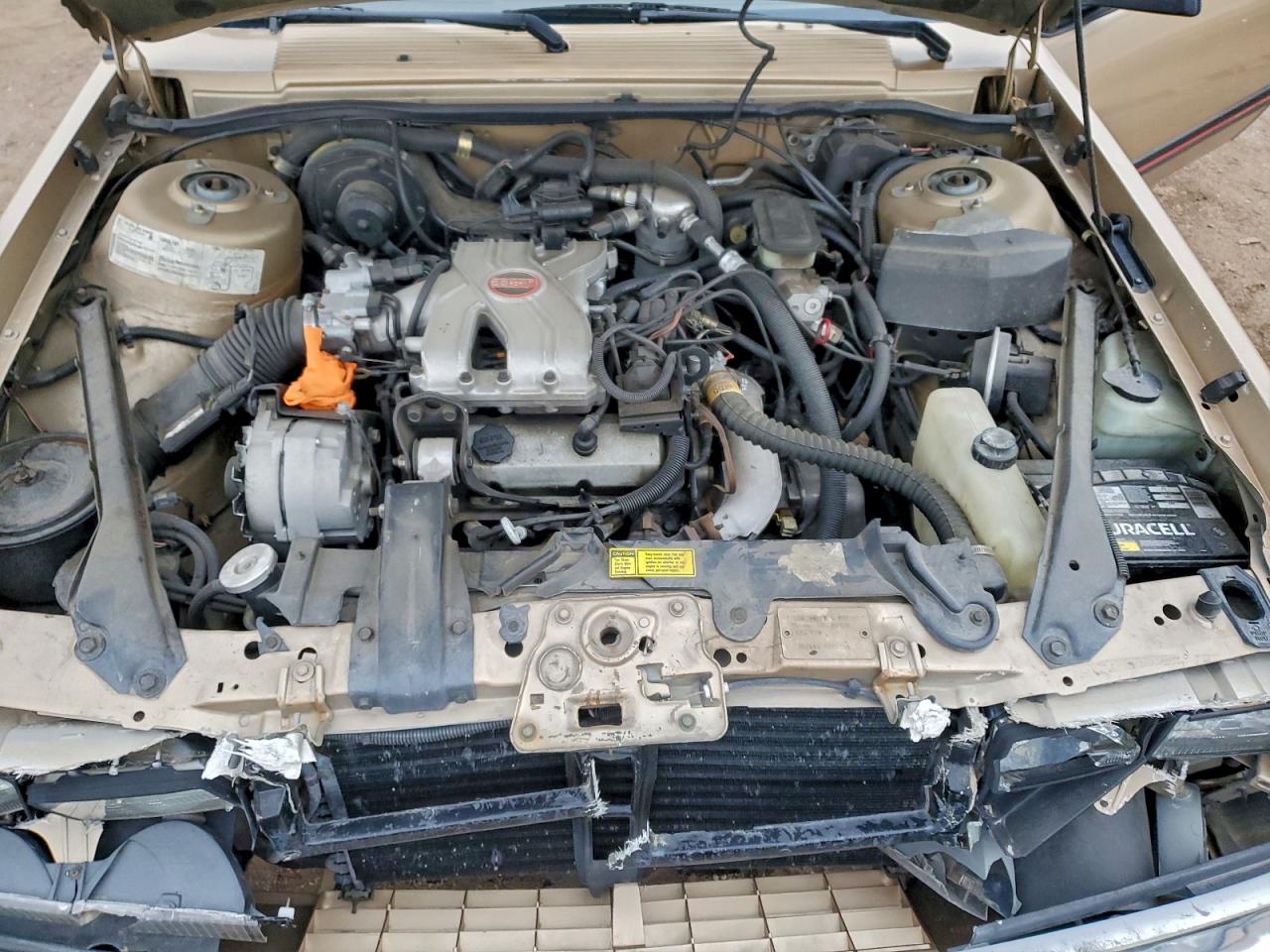 Lot #3304901579 1985 CHEVROLET CELEBRITY