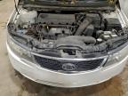 Lot #3317863935 2013 KIA FORTE EX