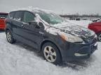 Lot #3303732435 2016 FORD ESCAPE SE