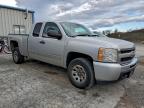 Lot #3316788449 2010 CHEVROLET SILVERADO