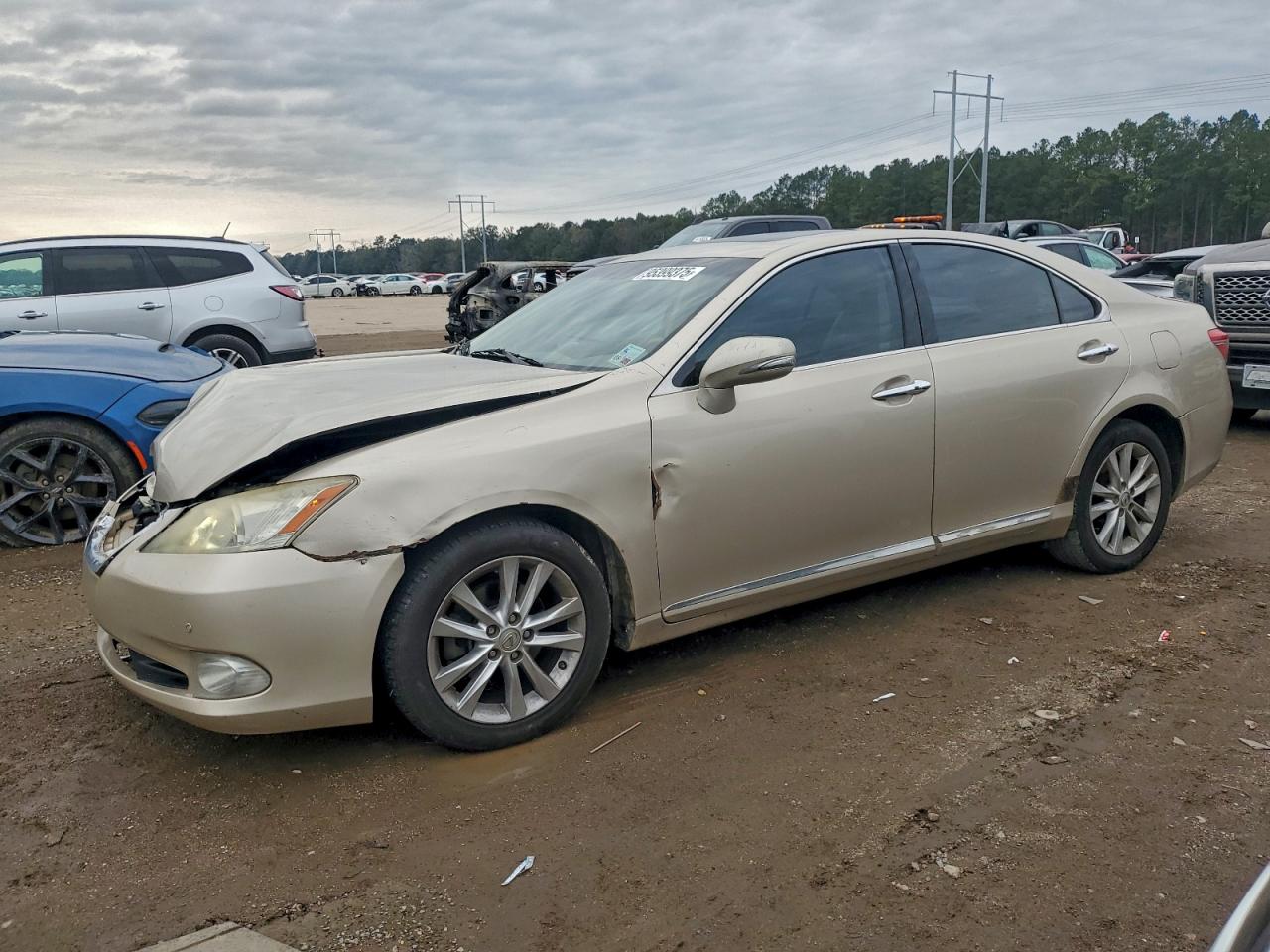 LEXUS ES 350