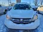 Lot #3306732781 2010 HONDA CR-V LX