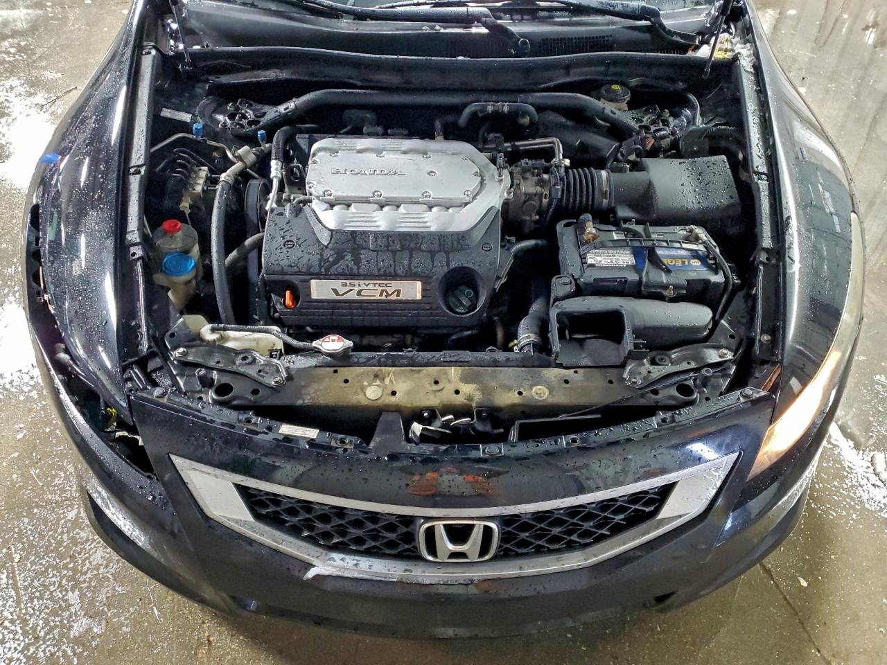 HONDA ACCORD EXL
