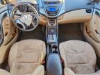 Lot #3303716418 2013 HYUNDAI ELANTRA GL