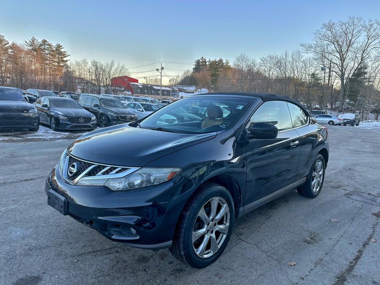 Lot #3318059367 2014 NISSAN MURANO CRO