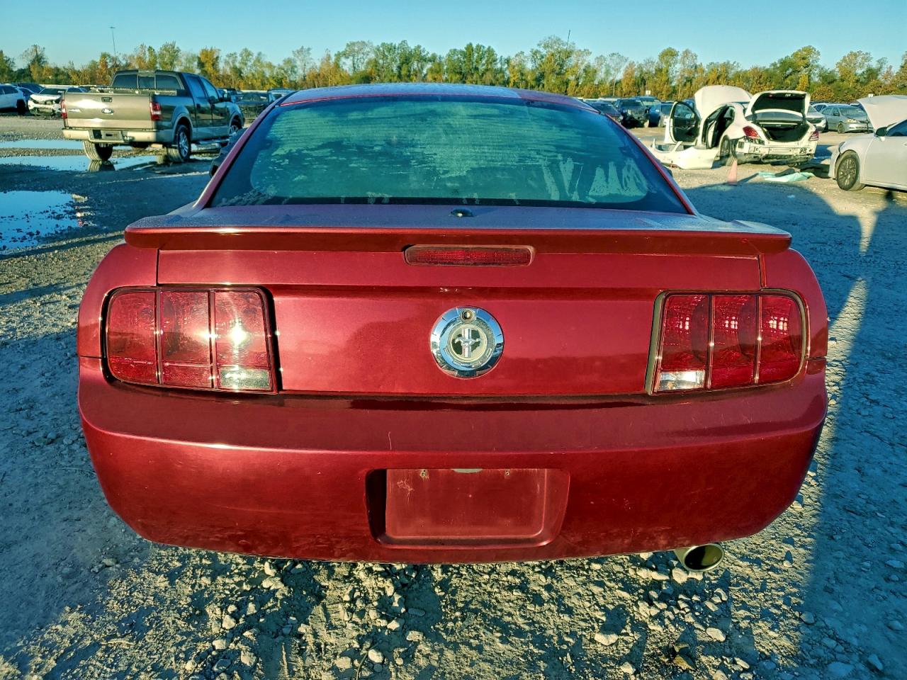 Lot #3311609263 2009 FORD MUSTANG