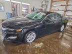 Lot #3318892917 2025 CHEVROLET MALIBU LT