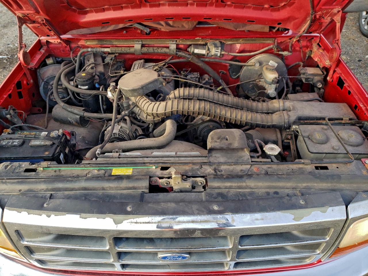 Lot #3303621928 1995 FORD F150