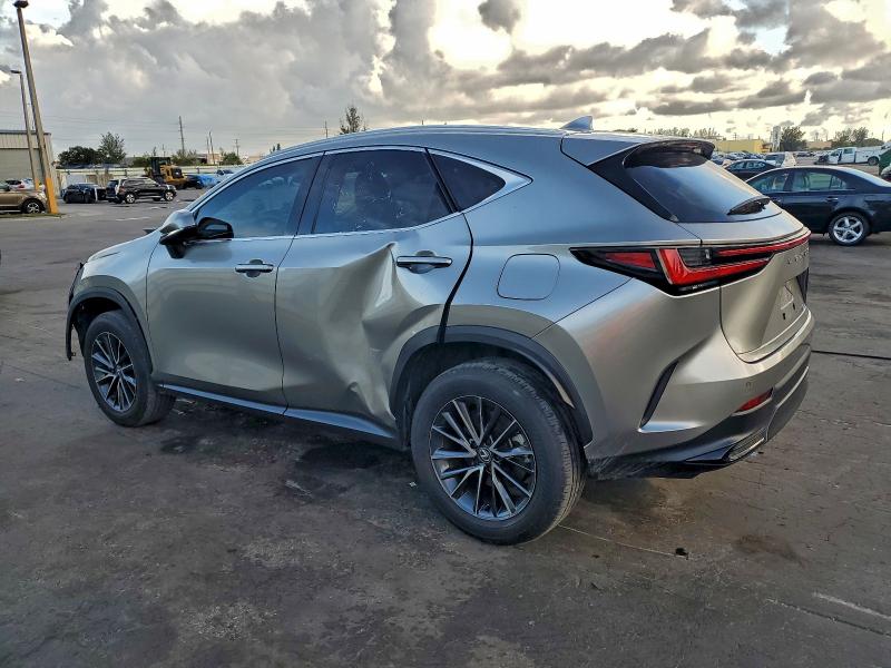 2024 LEXUS NX 250 PRE #3302853928