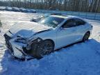 Lot #3316720407 2023 LEXUS ES 300H BA
