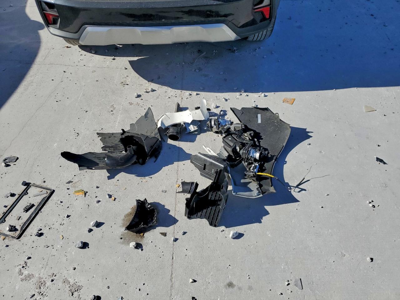 Lot #3319095278 2024 KIA SELTOS EX