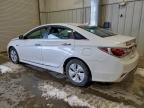 Lot #3317981912 2013 HYUNDAI SONATA HYB