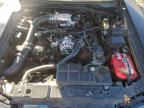 Lot #3303830460 2001 FORD MUSTANG GT