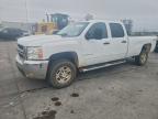 Lot #3305346322 2009 CHEVROLET SILVERADO