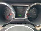 Lot #3312690157 2005 FORD MUSTANG