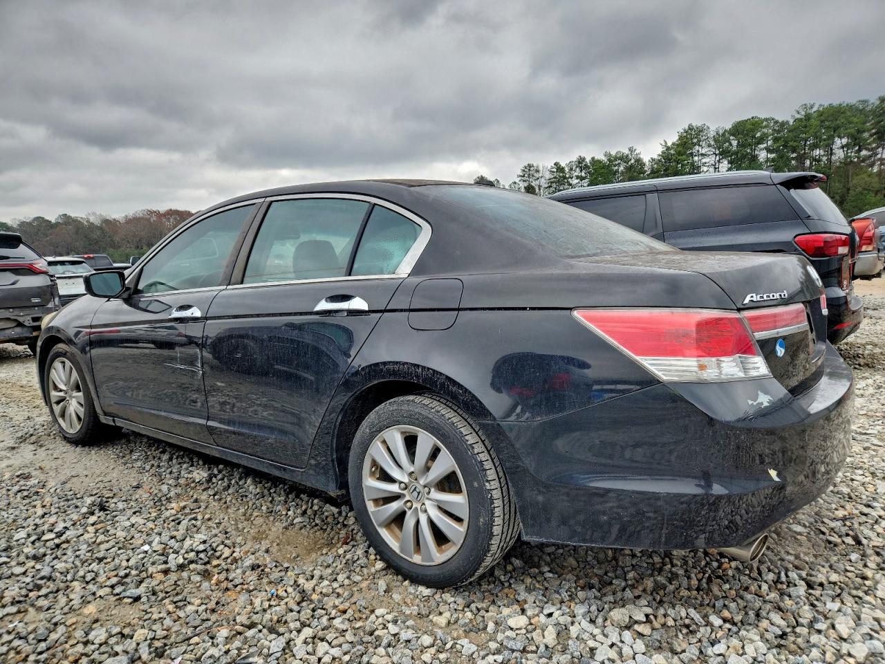 Lot #3308303199 2011 HONDA ACCORD EXL