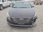 Lot #3303763419 2015 HYUNDAI SONATA SPO