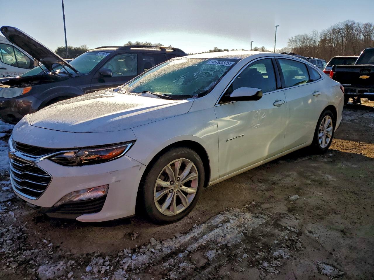 Lot #3305423466 2020 CHEVROLET MALIBU LT