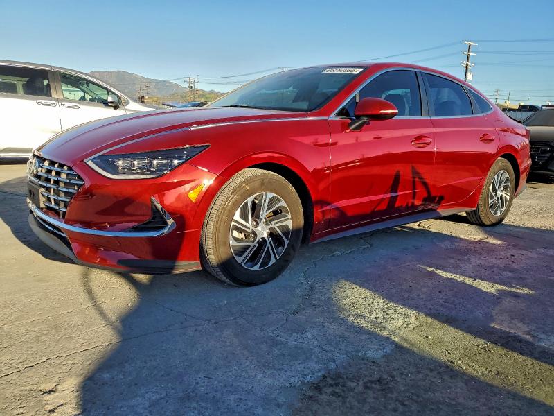 2023 HYUNDAI SONATA HYB #3311562240