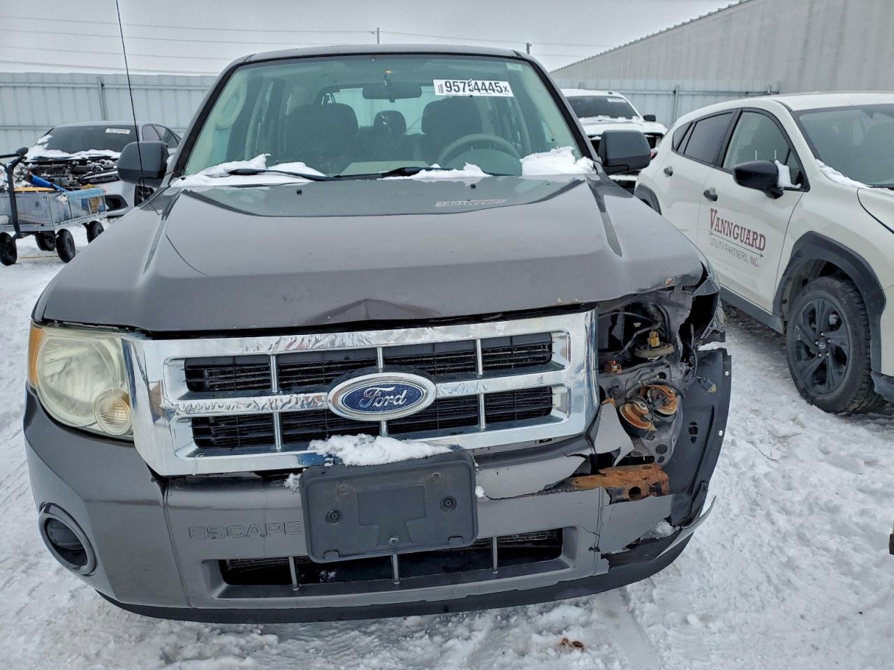 Lot #3310138363 2010 FORD ESCAPE XLS